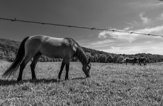 Peaceful Boundary Peaceful Boundary