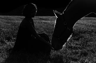 The Understanding The Understanding