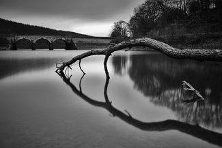 The Nutcracker The Nutcracker