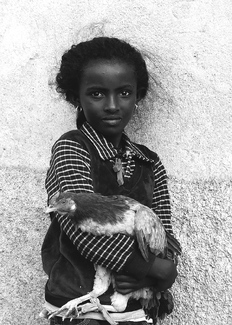 The girl, the cross and the hen The girl, the cross and the hen