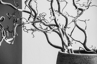 Contained Chaos Contained Chaos