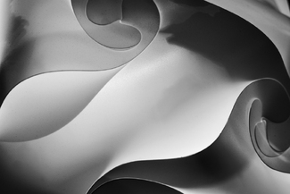 Fallopian Tubes Fallopian Tubes