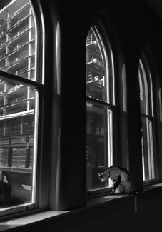 Where Did That Come From? Where Did That Come From?