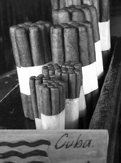 Rolled Up Rolled Up