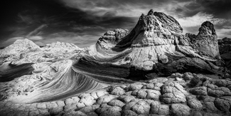 The Brain  The Brain