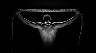 Taurus Framed Taurus Framed