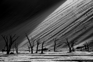 Early Morning at Deadvlei Early Morning at Deadvlei