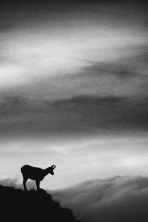 Above the valley Above the valley