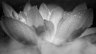 Sweet Memories Sweet Memories