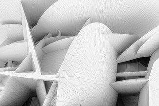 Desert Rose Desert Rose