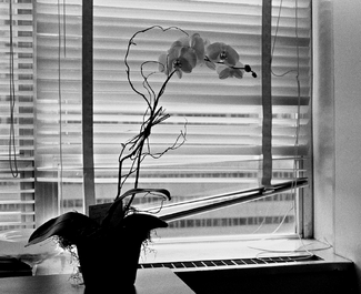 Flowers For Nicky Flowers For Nicky
