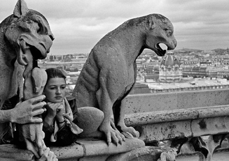 From The Bell Tower, Notre Dame From The Bell Tower, Notre Dame