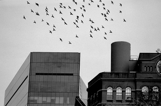 Above, New York Above, New York