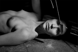 Hestia got a message Hestia got a message