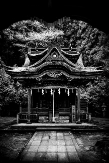 Laughing Dragon Laughing Dragon