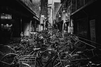 Boy's Dream Boy's Dream