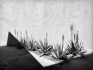La Paz Botanico La Paz Botanico