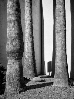 Scottsdale Landscape Scottsdale Landscape