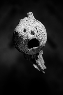 Scream Scream