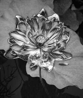 Essence of Life Essence of Life