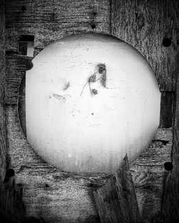 Organic Transition  Organic Transition