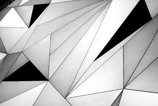 The journey of the black flower The journey of the black flower