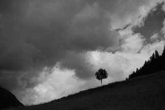 Anticipation Anticipation