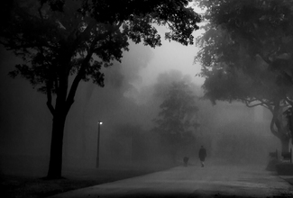 A Walk in the Park A Walk in the Park