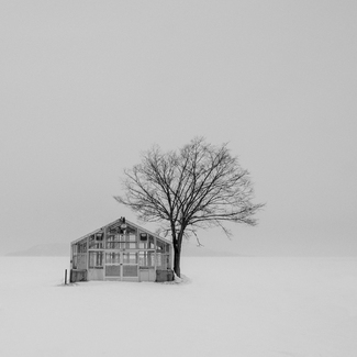 Glass House Glass House