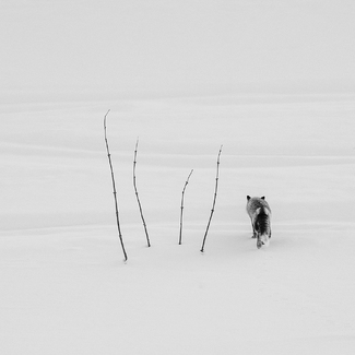 Heading Back to Nature Heading Back to Nature