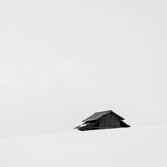 Cover in the White Cover in the White