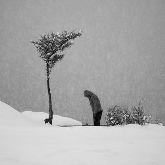 Bow to mother Nature Bow to mother Nature