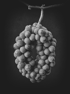 Vineyard Elegance: A Wreath of Grapes Vineyard Elegance: A Wreath of Grapes