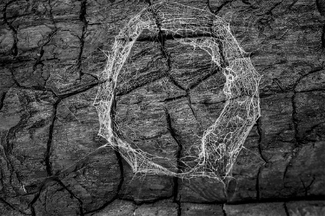 Broken Web Broken Web