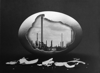 Congenital Pollution Congenital Pollution