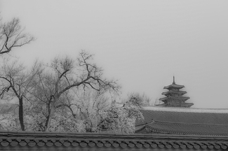 The Temple The Temple