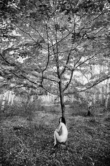 impressionists impressionists