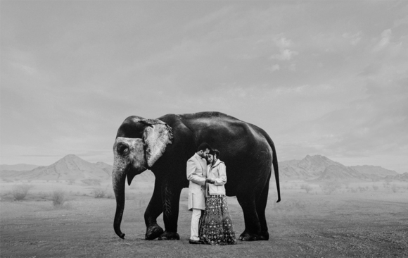 Elephant & Couple