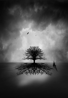 Seeking Shelter Seeking Shelter