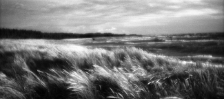 Wind Wind
