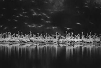 The Celstials of Earth The Celstials of Earth