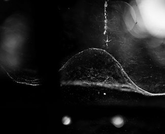 UFO Outside my window UFO Outside my window