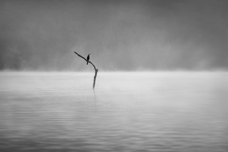 Misty mornings on the river Bhadra Misty mornings on the river Bhadra