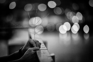 The Flower Gone .......With You The Flower Gone .......With You