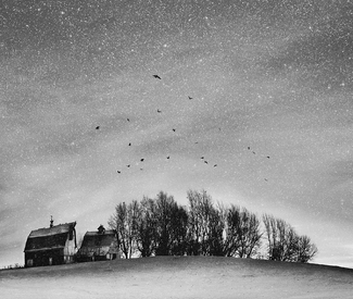 Winter Morning Winter Morning