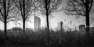 17010111, Unicredit Tower and Vertical Forest, Milan, 2017 17010111, Unicredit Tower and Vertical Forest, Milan, 2017