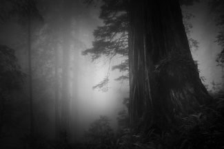 Land of Ghosts and Shadows Land of Ghosts and Shadows