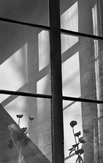 Amsterdam Window Amsterdam Window