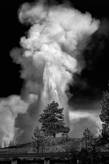 Old Faithful Greets a New Day