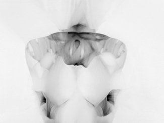 Introspection Introspection